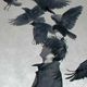 雨鴉Rainycrow