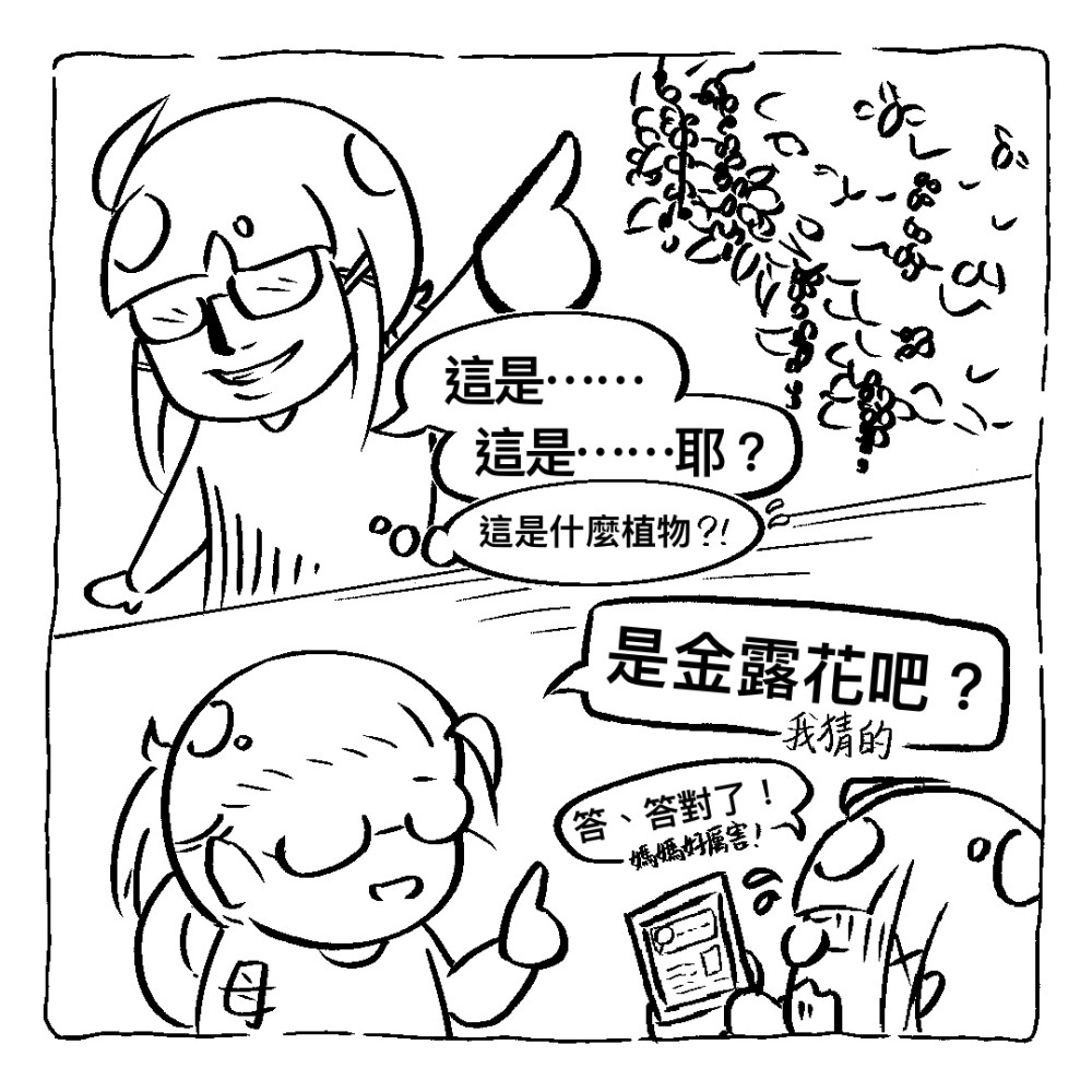 1539305217696f9f401b4b77.68124651-106296.jpeg