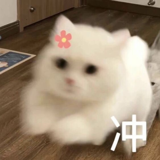 1134835521686b459f574430.34422838-113568.jpeg