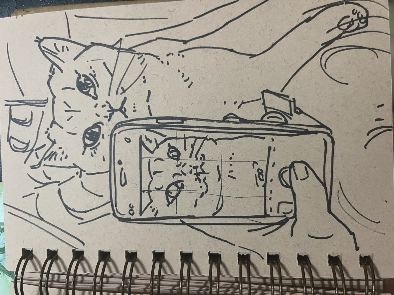 510710056682b61504a9613.65963842-113859.jpeg