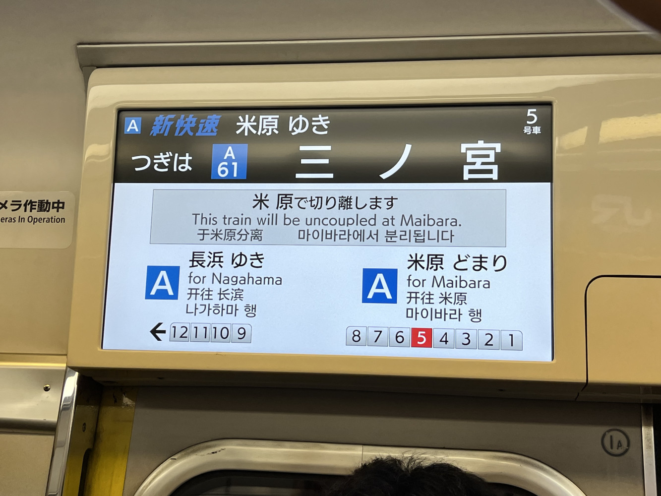 1666029145696e6a88ba5558.54266854-117887.jpeg