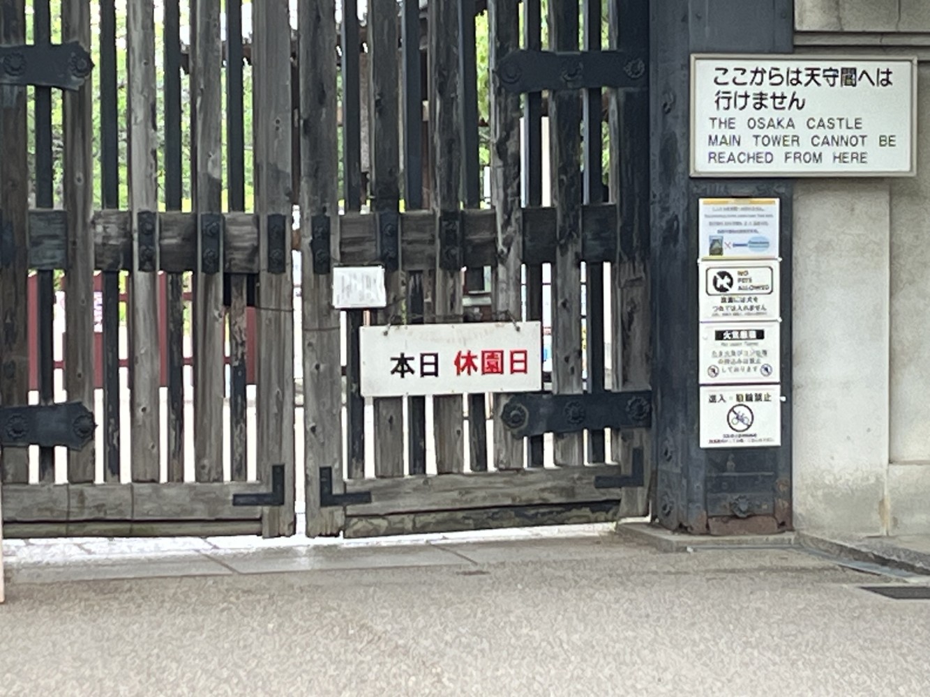207756598068c6edf1eb5b68.06938113-117887.jpeg