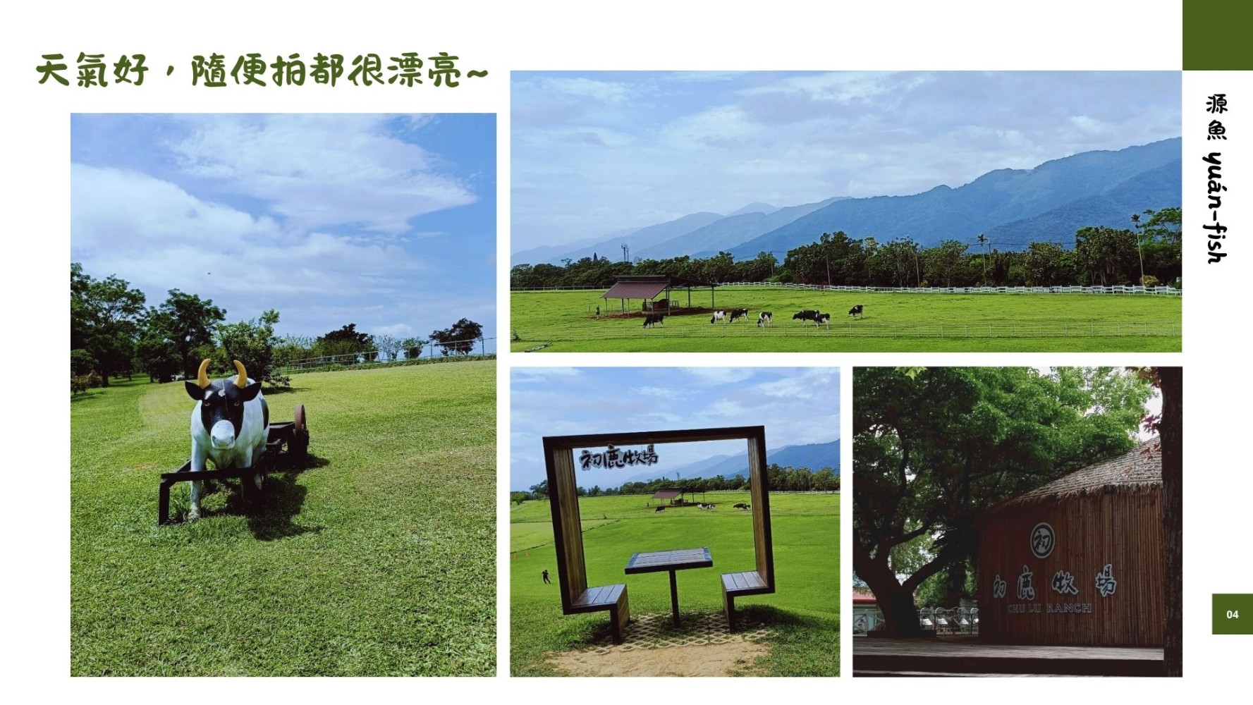 1950162904683d5080add9f0.85318110-121716.jpeg