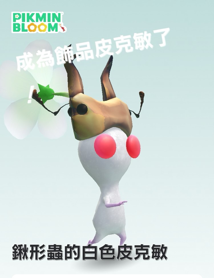 55186540069152aa4e13a97.29908446-132973.jpeg