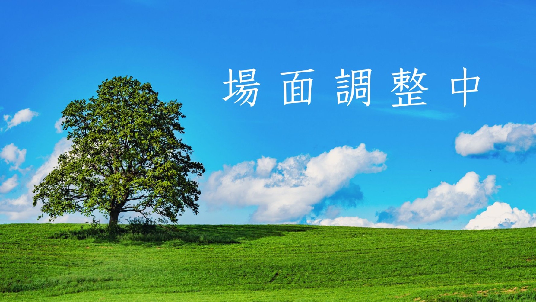 75235268669329efde2f5a1.43285033-140220.jpeg