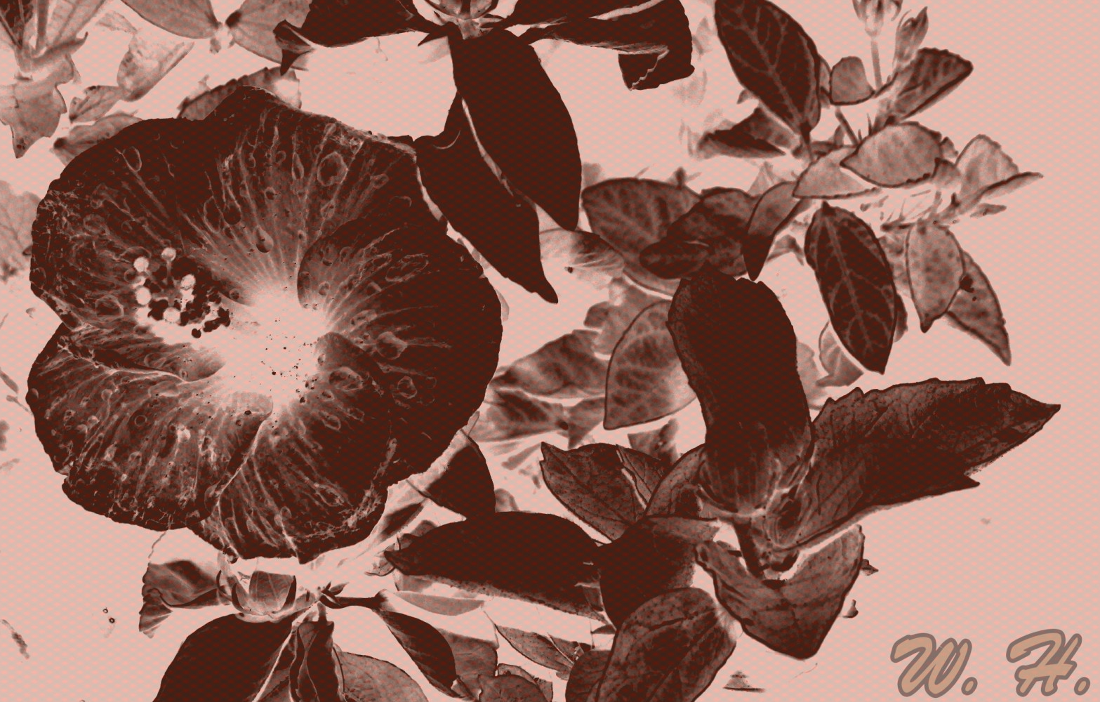 4480571076a291373e5d2e5.78728998-163674.jpeg