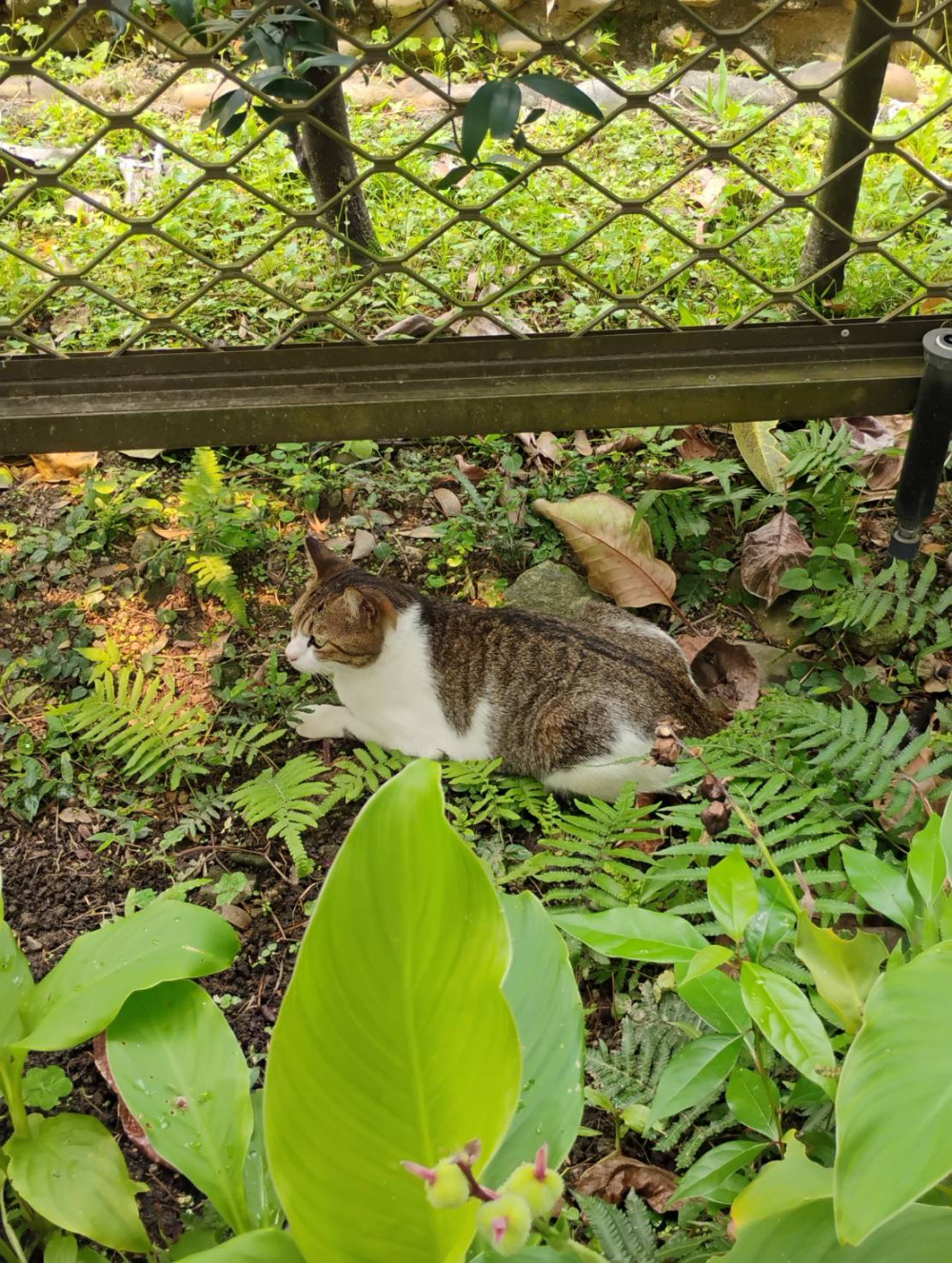 190737768069df6f571fc517.40877758-181084.jpeg