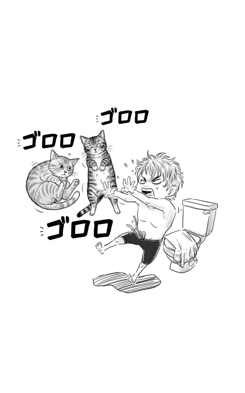 152853087369d27f56048d40.82796953-182863.jpeg