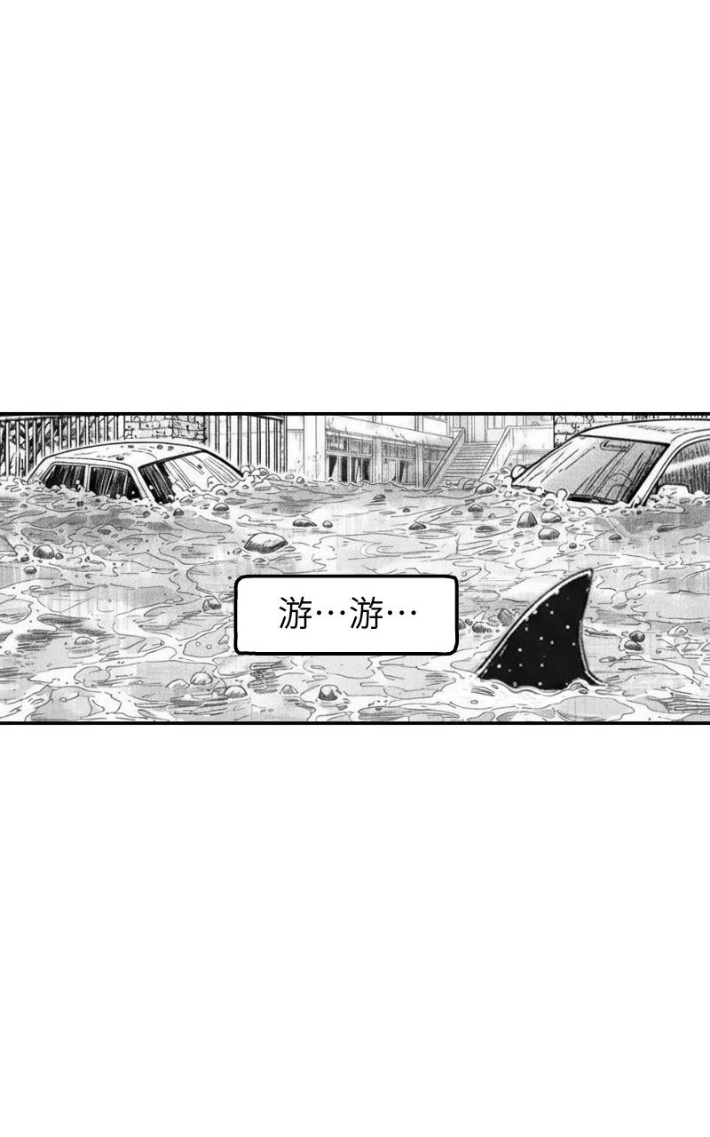 188372755869e6260984cbc4.24745156-182863.jpeg
