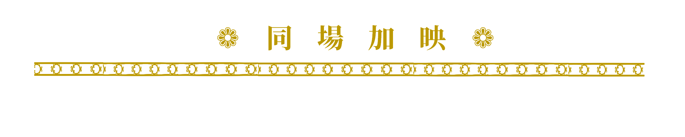81074236369b19b57ea2ce9.41095056-189494.png