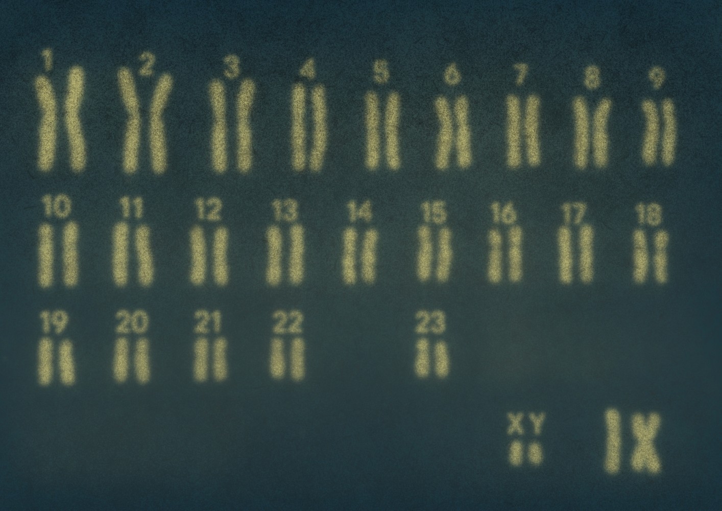 1355676407690764aa51d941.94601323-189944.jpeg