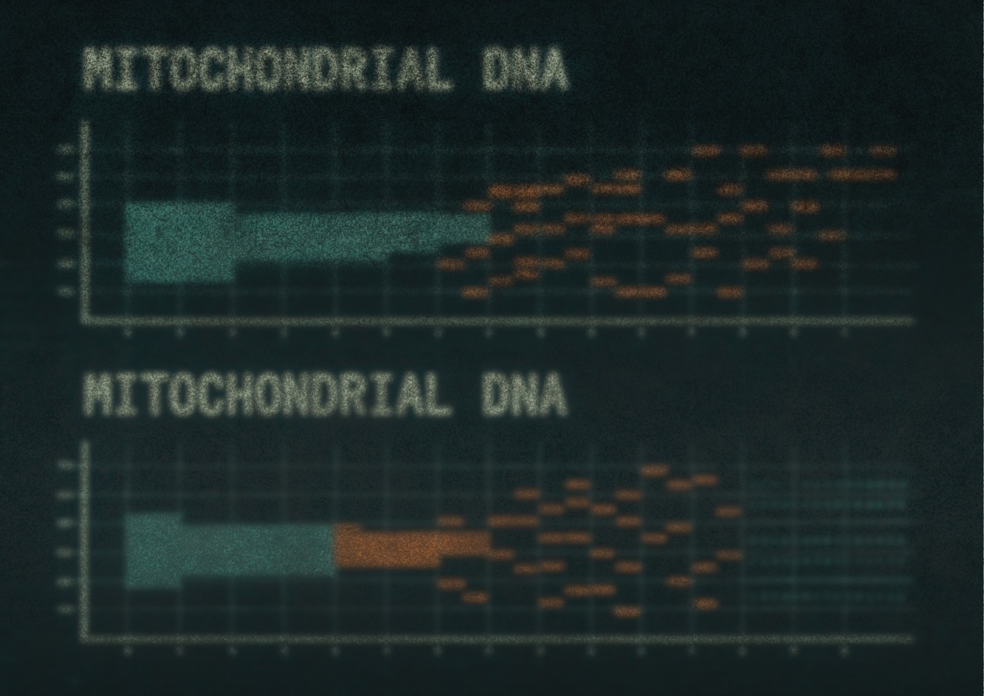 1391496785690764ca340e59.74532084-189944.jpeg