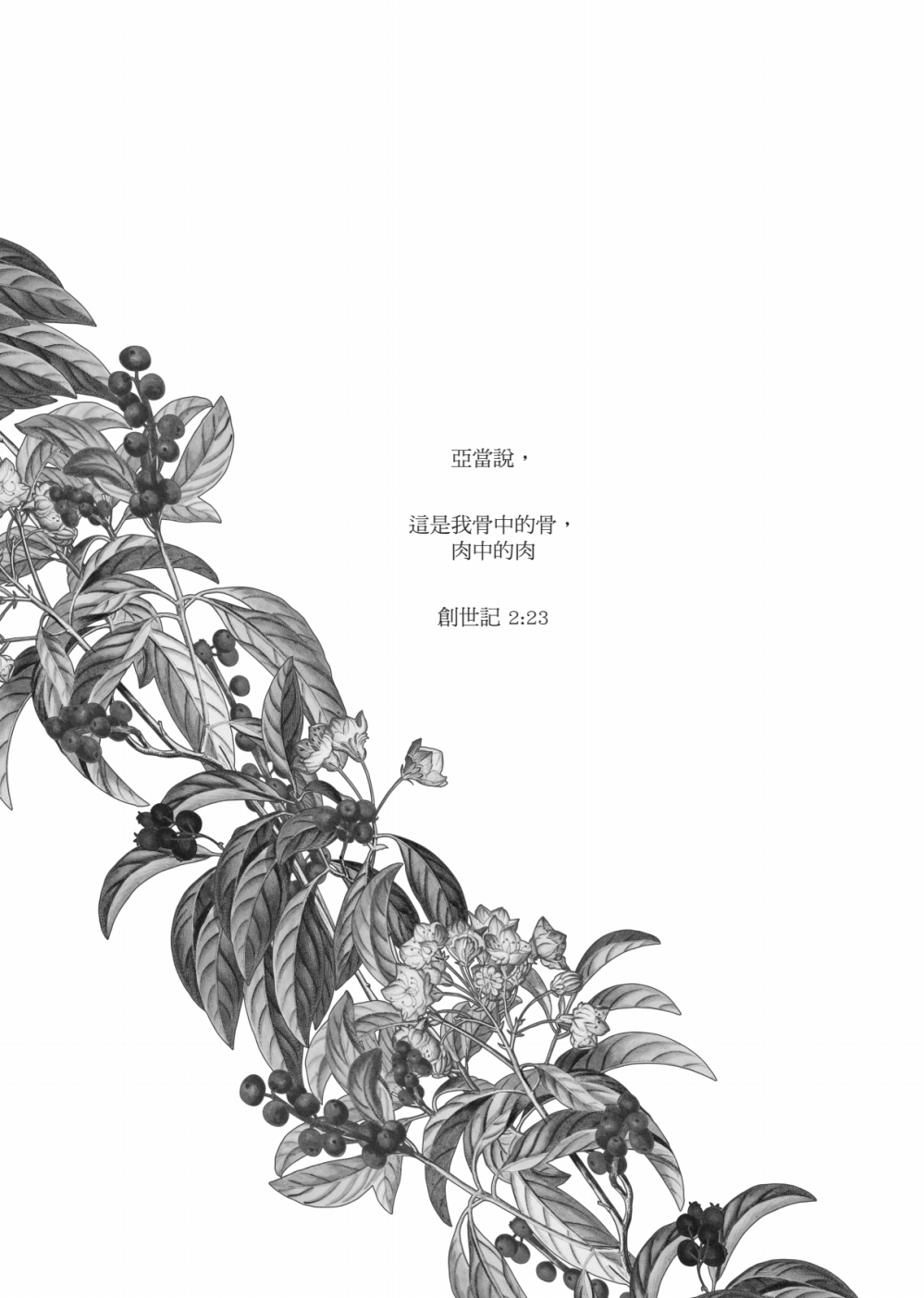 77864710968e730c9084f99.56724645-204781.png