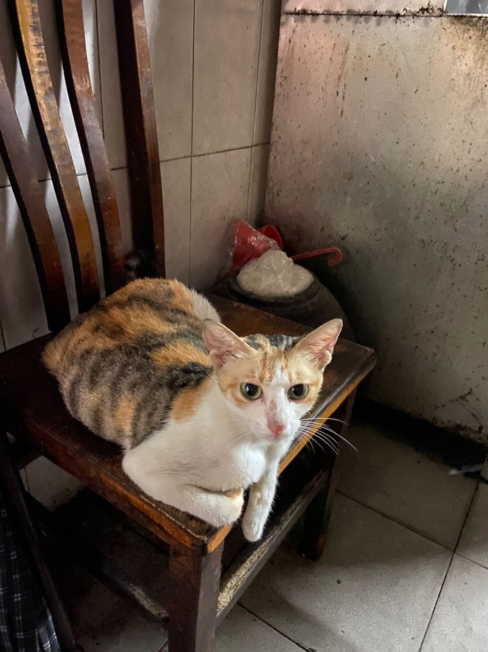 1130303662685229b85d1993.17322548-205044.jpeg