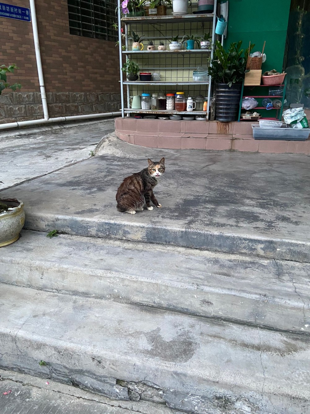 1164367576837bcfab7f3f1.30686188-205044.jpeg