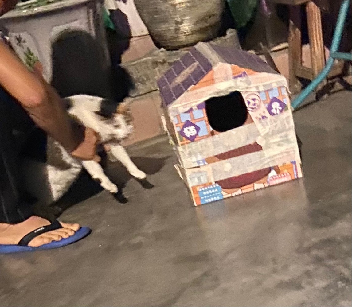 19112728006837bd868fa1d1.67074727-205044.jpeg