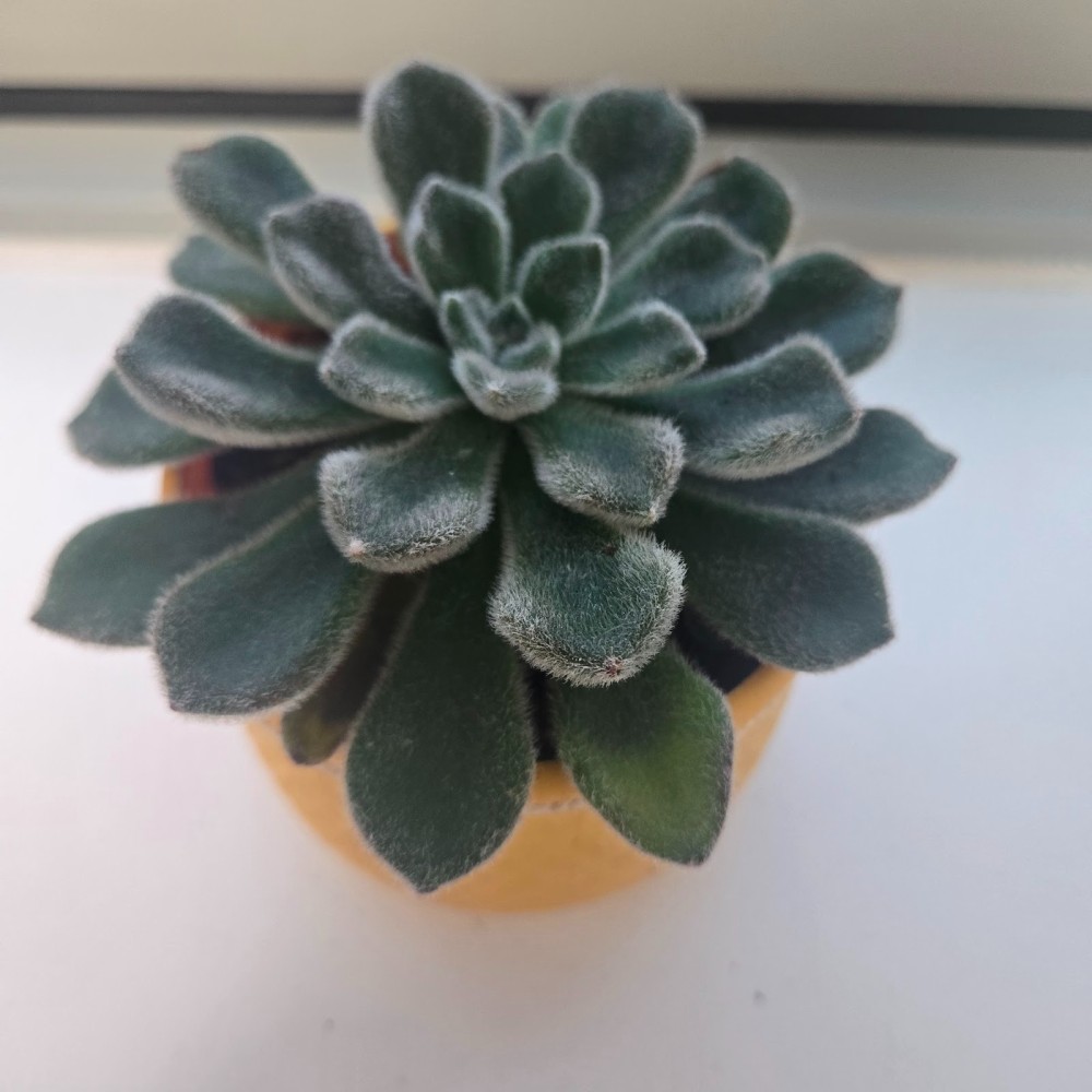 131124514969172cb227d388.10660077-210342.jpeg