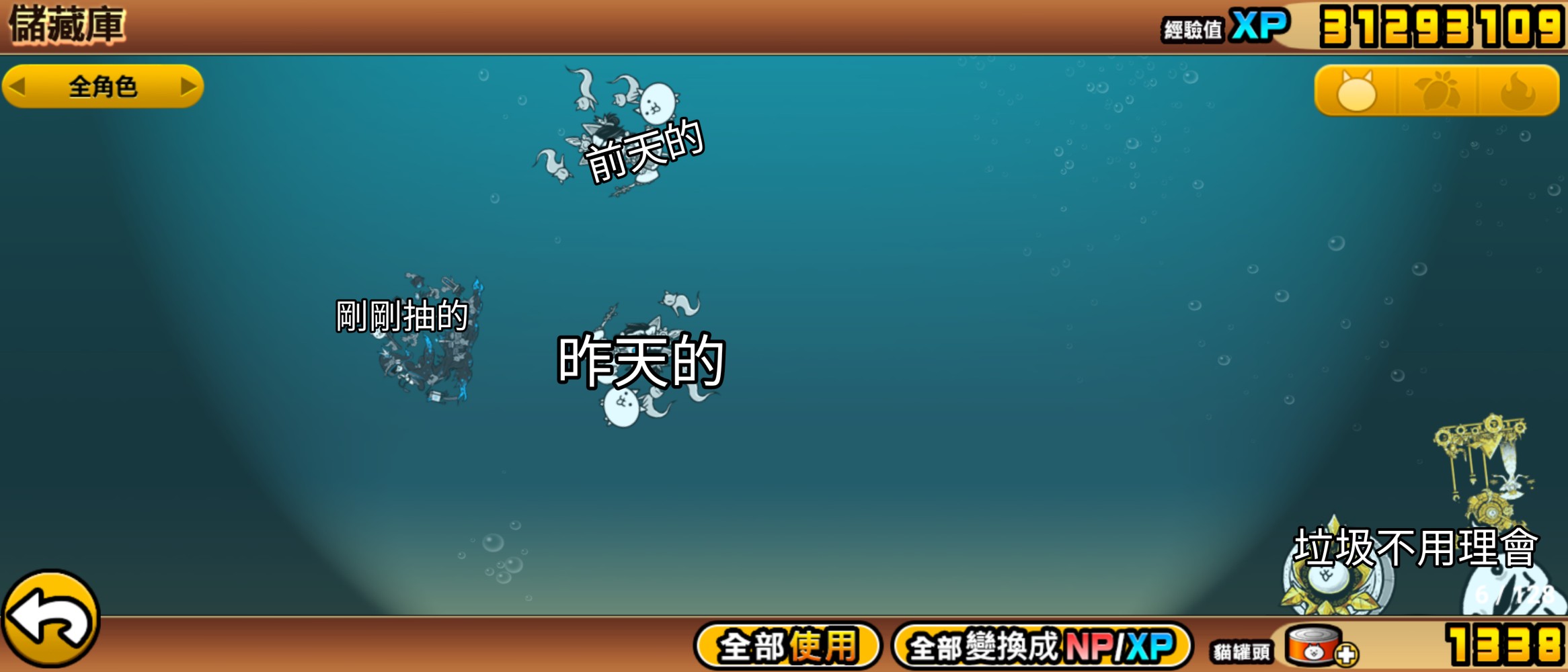 884193384686bba654ac9b9.21727704-233732.jpeg