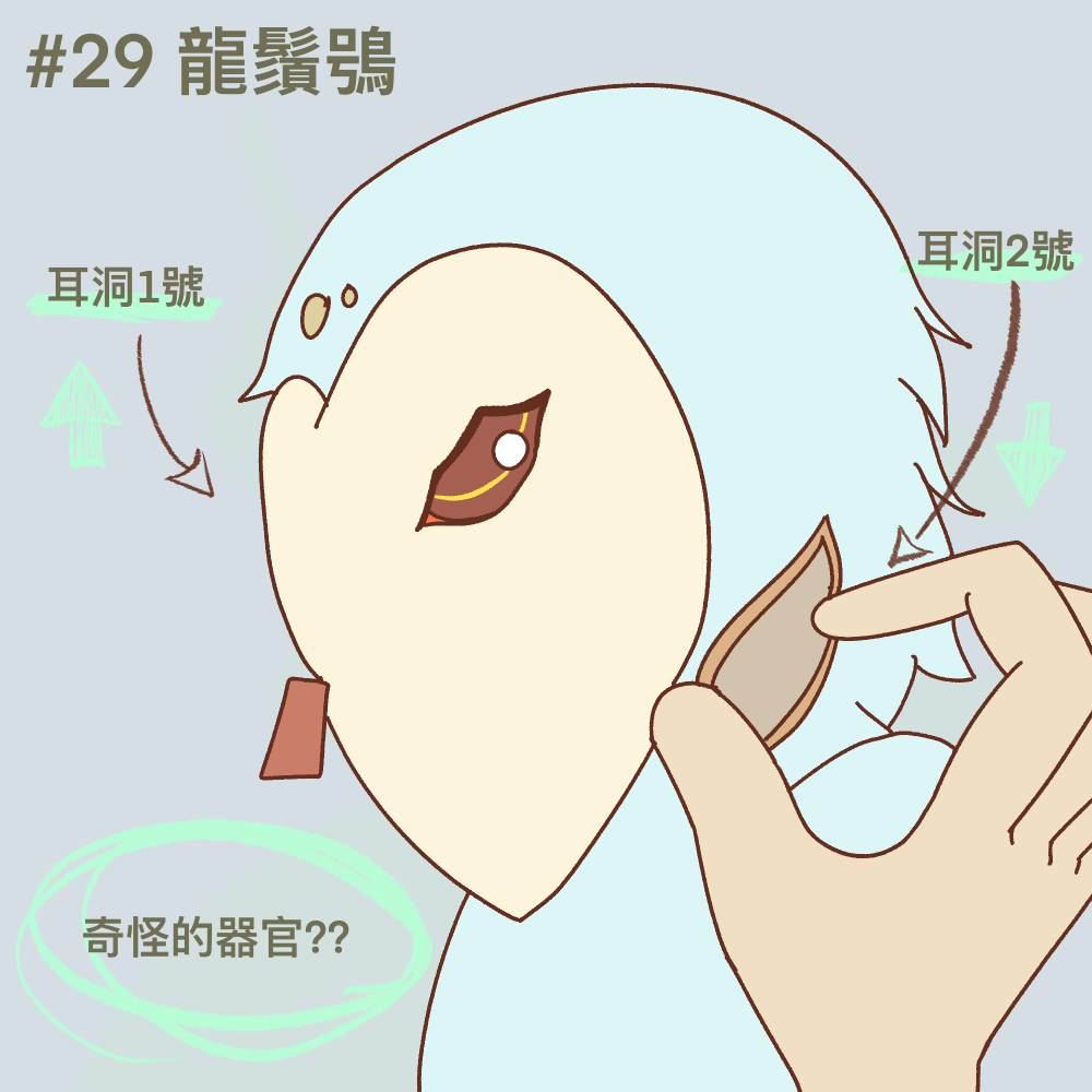 13615731816a413ed059c324.87503495-236025.png