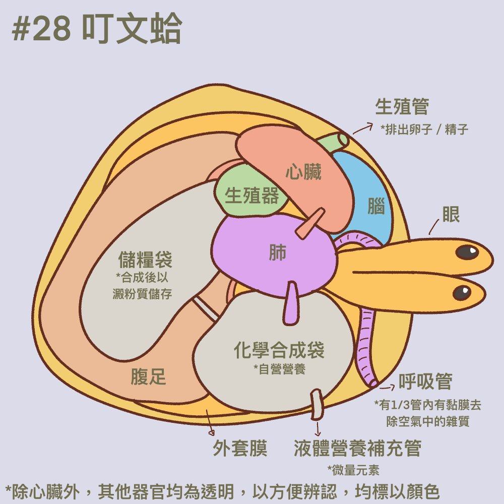 17487953626a413e67932854.77597588-236025.png