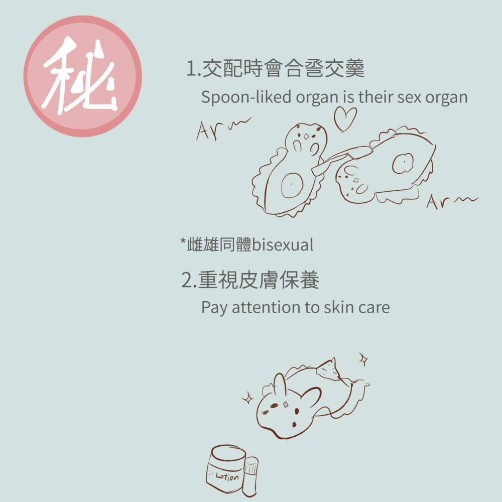 20524956876a413ab7acb934.02251144-236025.png