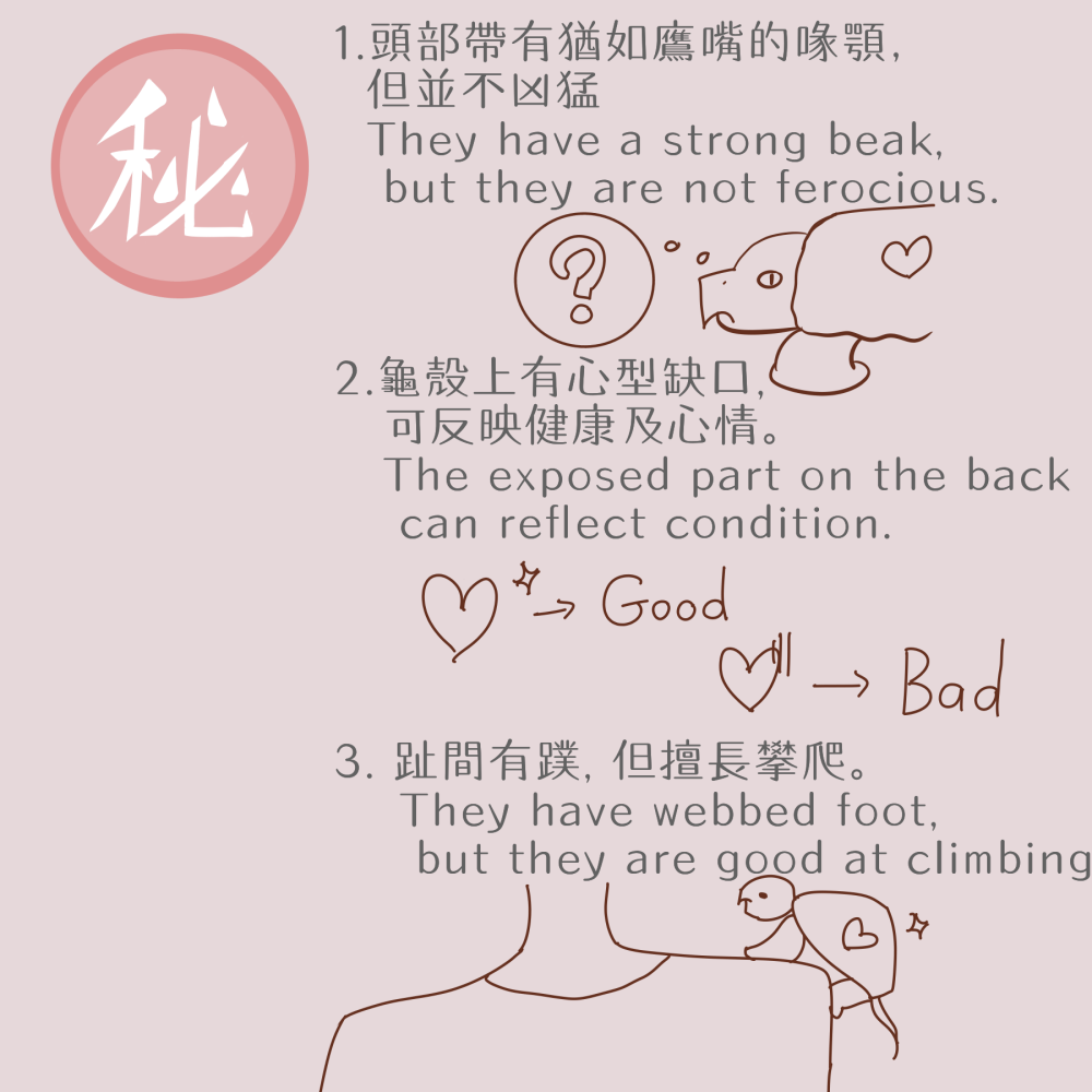 4042242286a413b4f05df29.87990436-236025.png