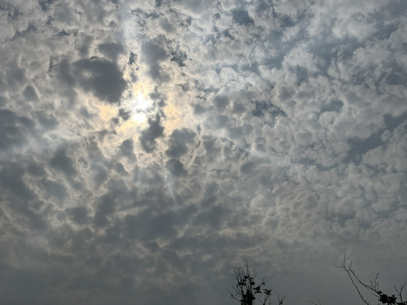 19080563269ec19448dee15.09430169-236780.jpeg