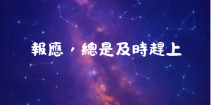 153566827269e98d20127986.35900117-237797.png