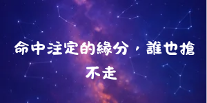 197771820669f9477922ece7.47829640-237797.png