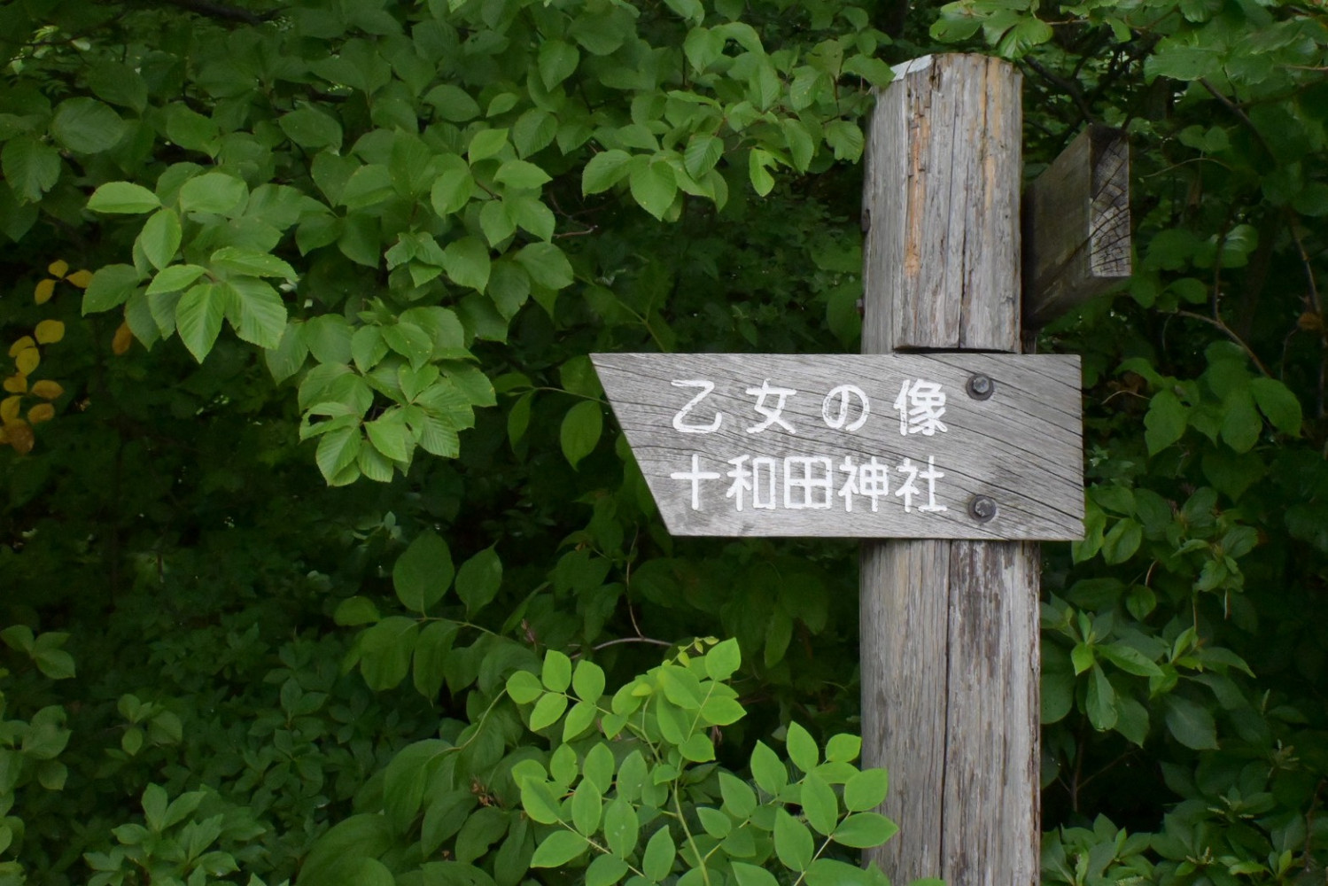 11065597126a3a3034532fa8.82681061-240522.jpeg