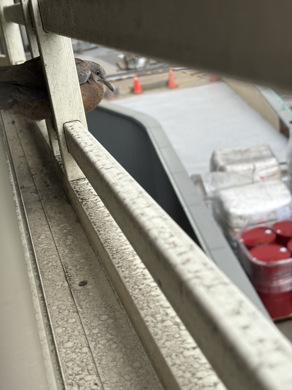 130917600069d34a1a2c08a5.19835700-240522.jpeg