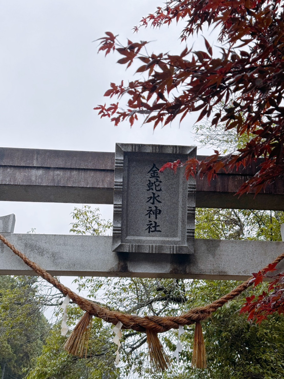 20050265836a3a304f306ec4.33659845-240522.jpeg