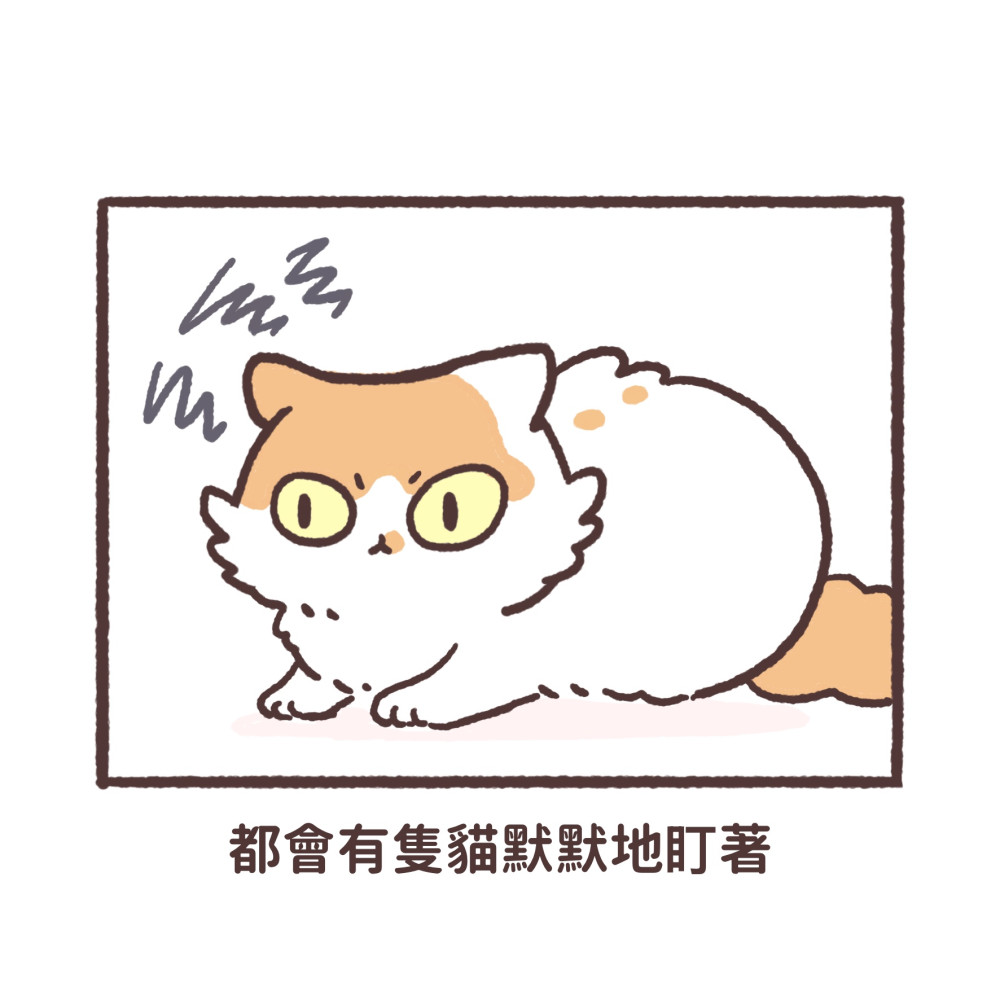 2671359756a100009371893.67914797-261960.jpeg