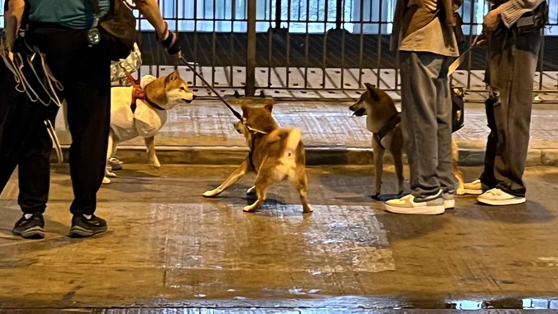 1385964381681b7552e50f10.28101045-264356.jpeg