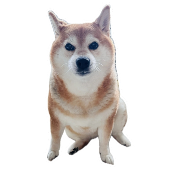 1663388308692f1d99c93d58.81505398-264356.png