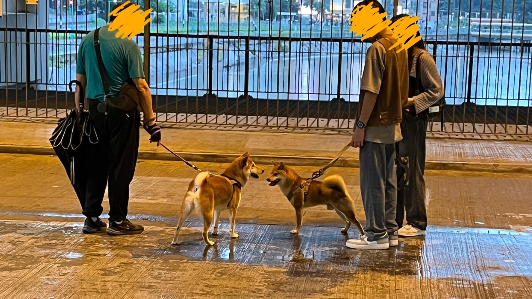 1721559599681b748435d893.11299613-264356.jpeg