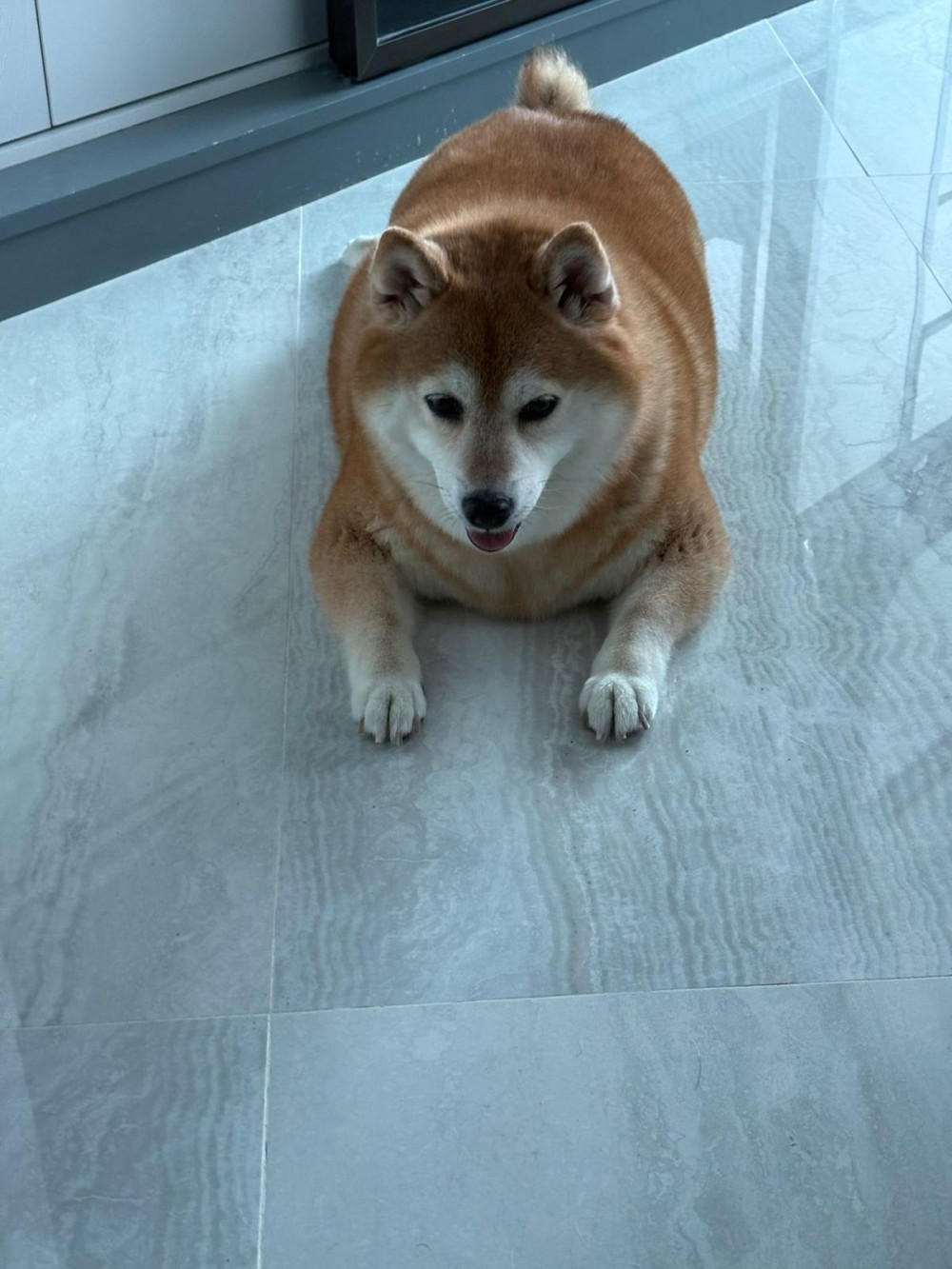 398171800692f1e1e2dd6f4.62697297-264356.jpeg
