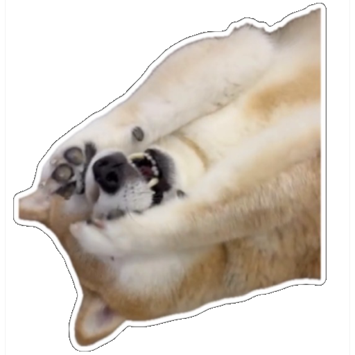74069407569b7f848ec62b7.21633411-264356.png