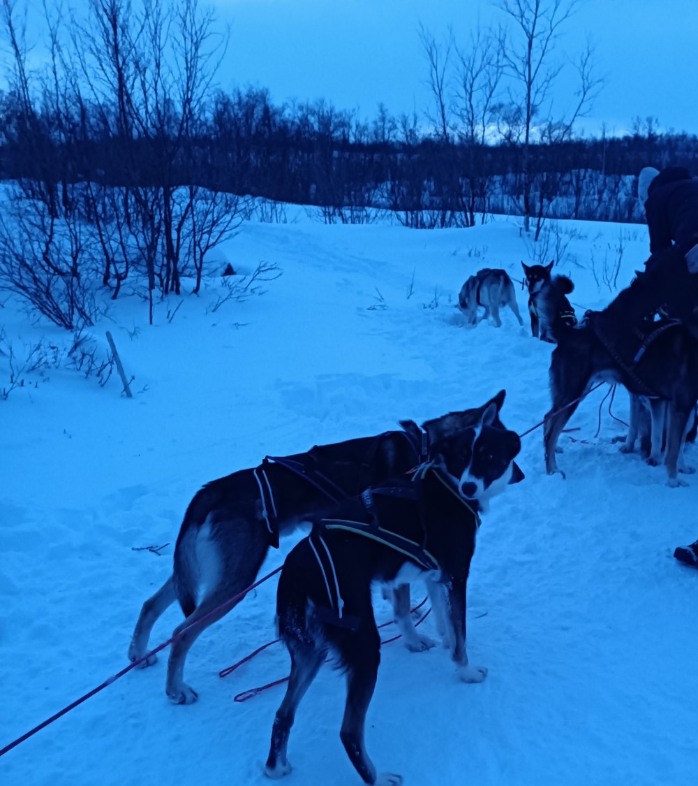 130694881668a1d078e011e0.91025515-271782.jpeg