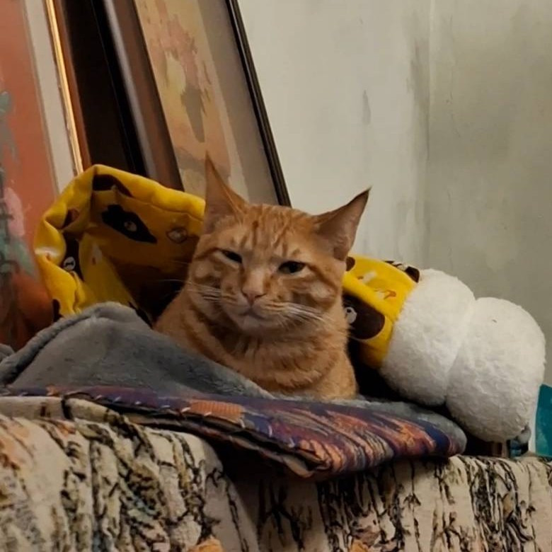 2130404335697a0f1ab88e33.96622675-271782.jpeg