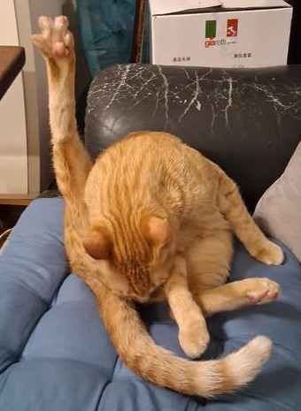 738458010699f0bf8588460.48519739-271782.jpeg