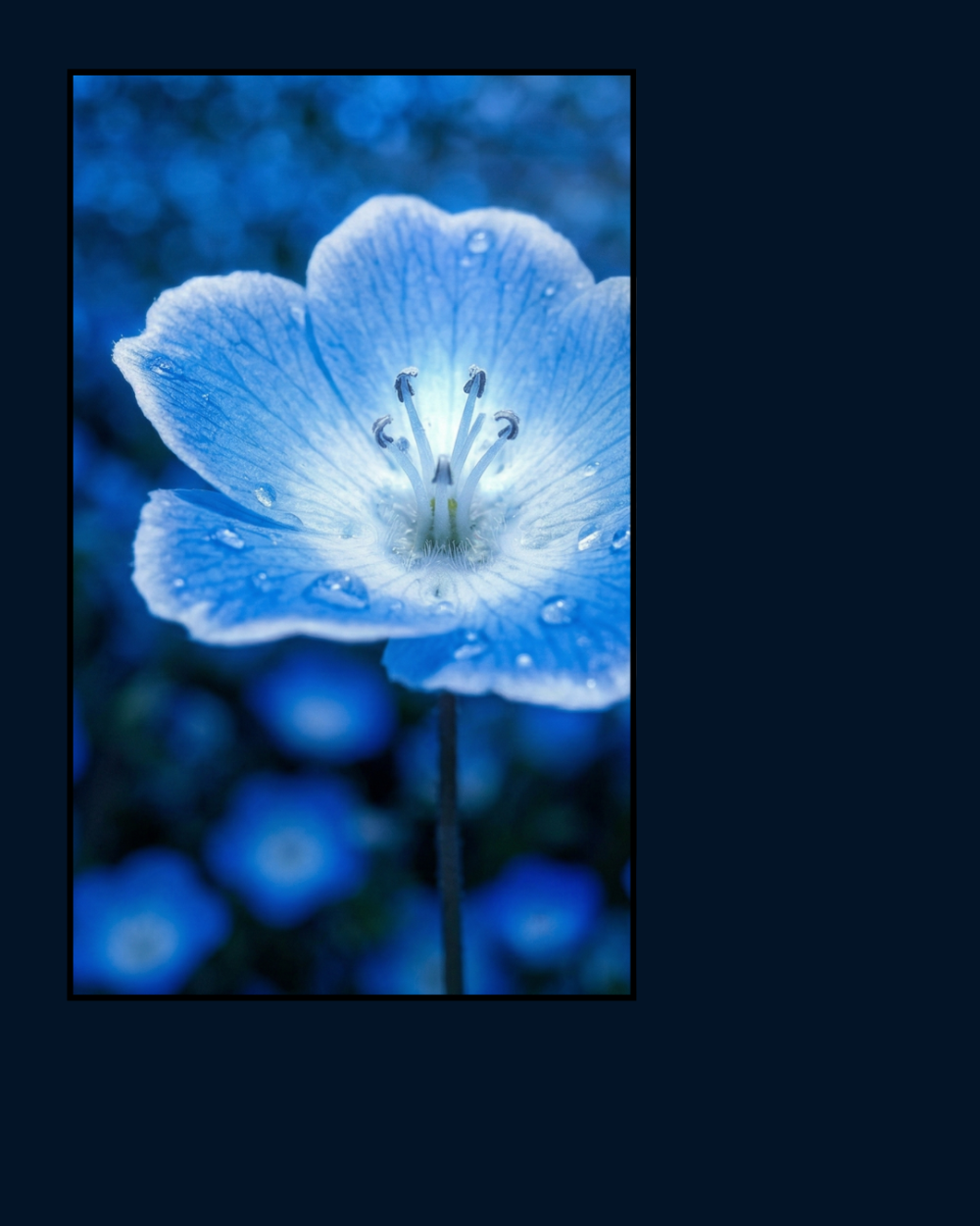 34905526669dda5403d17d8.61735647-285831.png