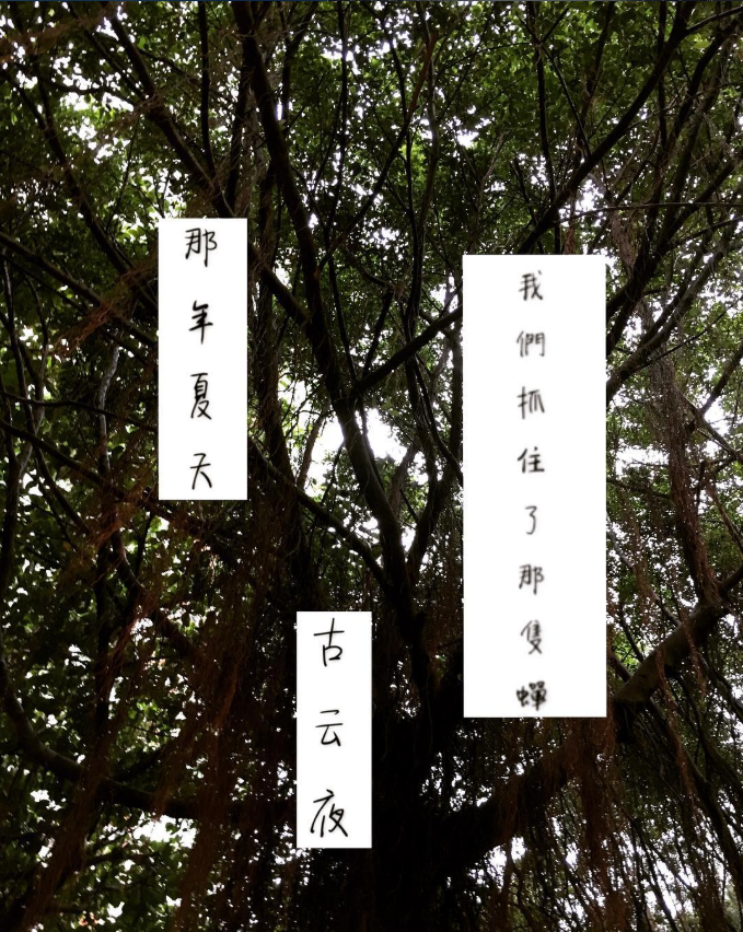 137736258169830f462485d1.95033790-30306.png