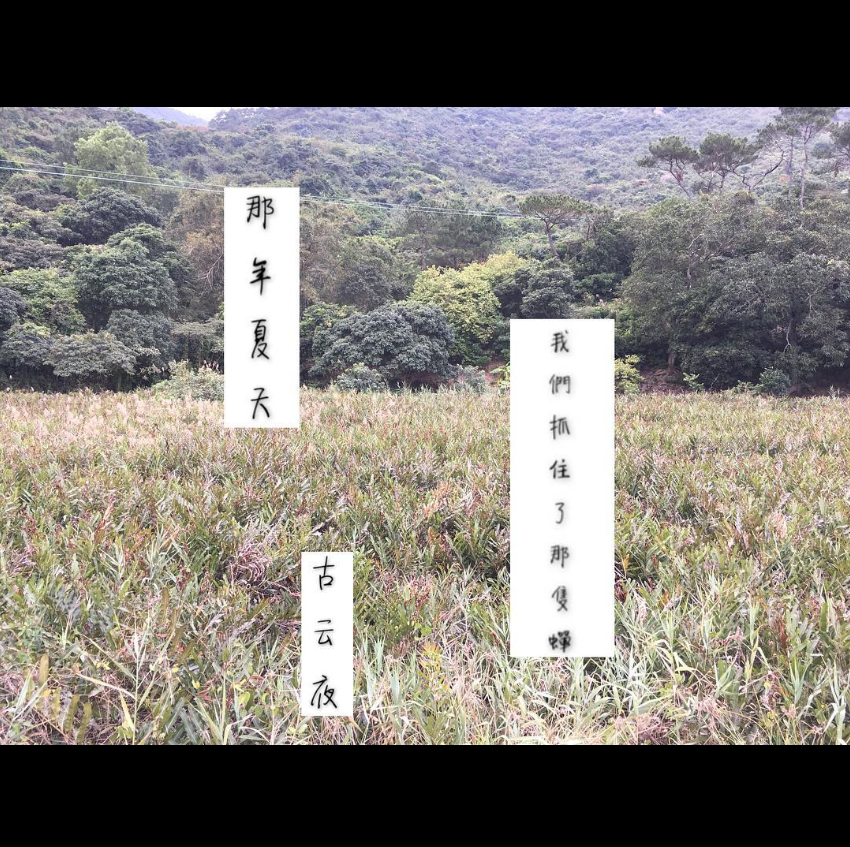 19598388296982ffda77f211.63383644-30306.png