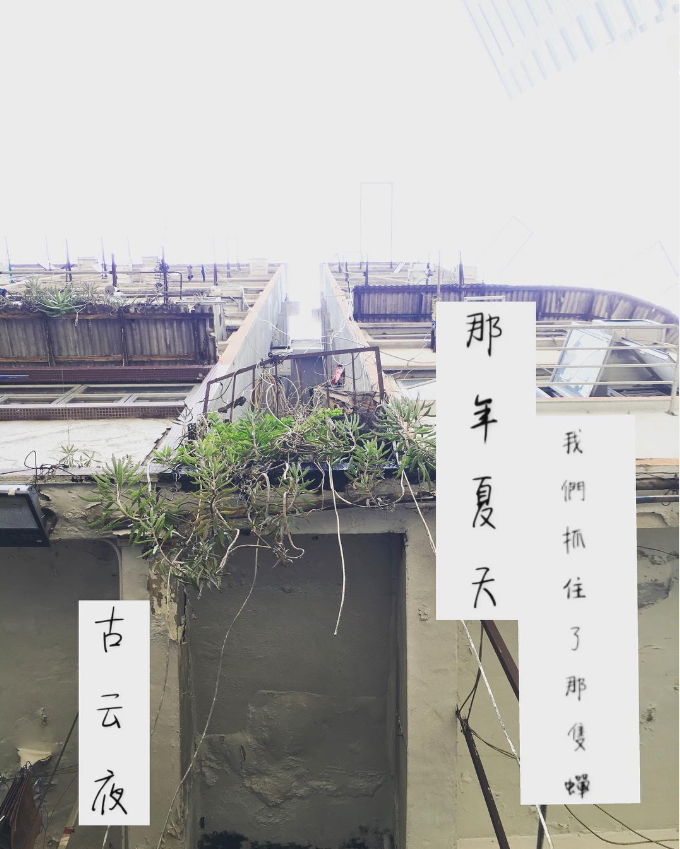 35588430569830ef92b25c0.45510693-30306.png