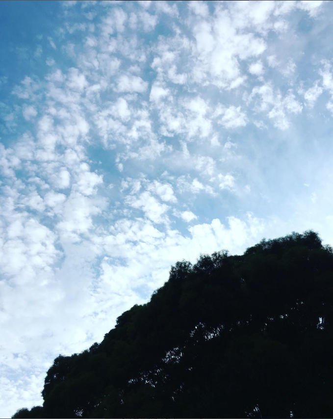 628319294696f582534a297.88918676-30306.png
