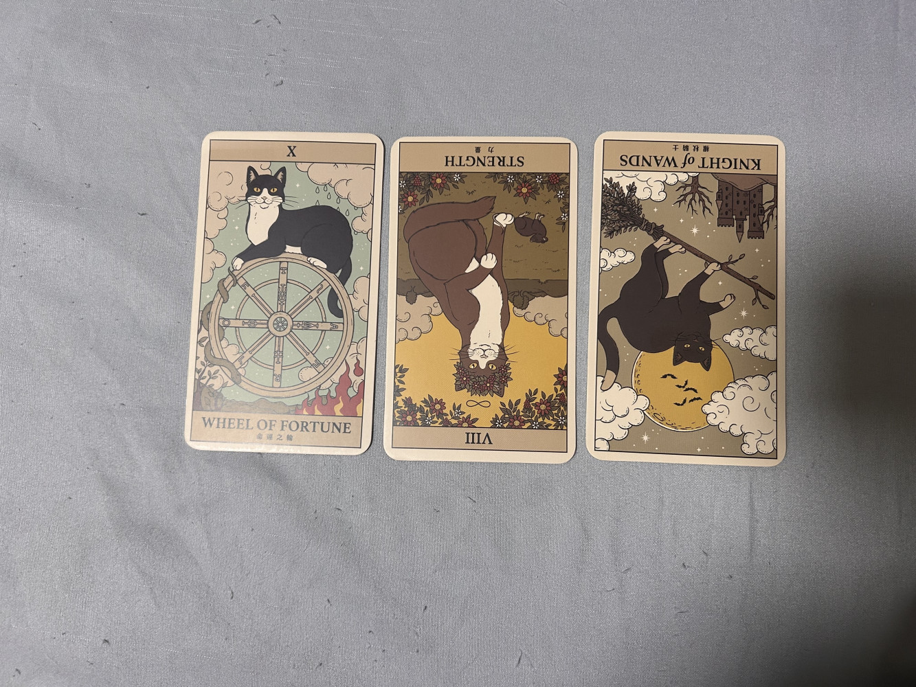 1610271784693584d52ed161.58018646-310476.jpeg