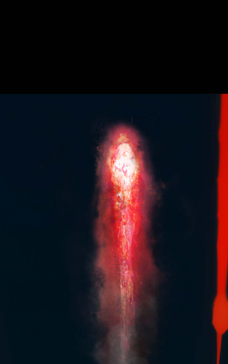 13721689926955b75b5c0ab6.53341348-322479.jpeg