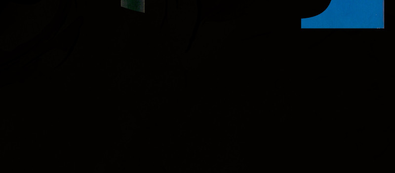 141535303969670a3f1b9548.01721417-322479.jpeg