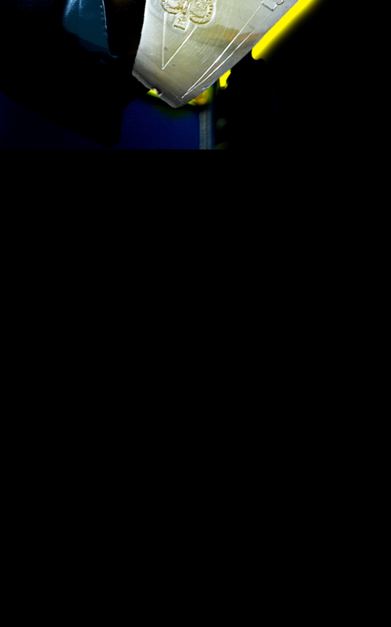 2404437546967119a7b4959.05849745-322479.jpeg